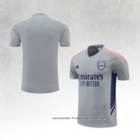 Camiseta de Entrenamiento Arsenal 2022-2023 Gris