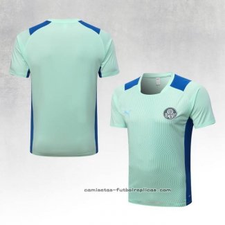 Camiseta de Entrenamiento Palmeiras 2022-2023 Verde