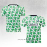 Camiseta Pre Partido del Nigeria 2022 Verde